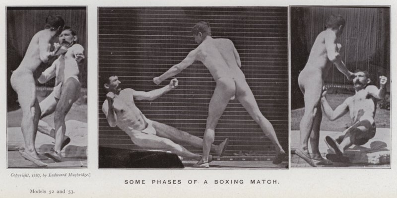 Die menschliche Figur in Bewegung: Einige Phasen eines Boxkampfes von Eadweard Muybridge