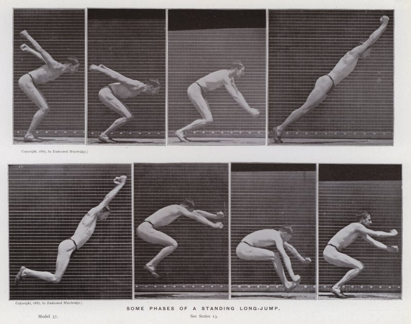 Die menschliche Figur in Bewegung: Einige Phasen des Standweitsprungs von Eadweard Muybridge