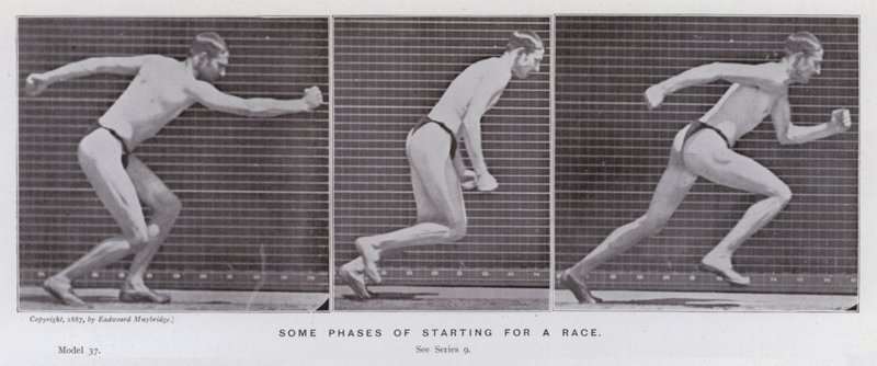 Die menschliche Figur in Bewegung: Einige Phasen des Rennstarts von Eadweard Muybridge