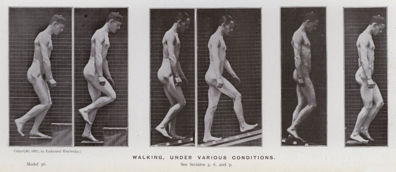 Die menschliche Figur in Bewegung: Gehen unter verschiedenen Bedingungen von Eadweard Muybridge