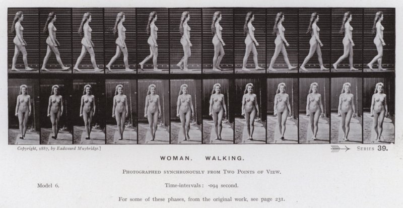Die menschliche Figur in Bewegung: Frau, gehend von Eadweard Muybridge