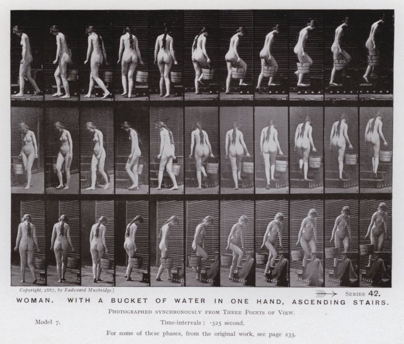 Die menschliche Figur in Bewegung: Frau, mit einem Eimer Wasser in einer Hand, Treppen aufsteigend von Eadweard Muybridge