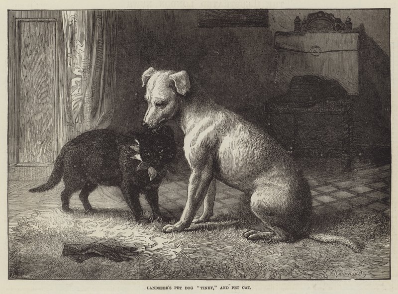 Landseers Haustierhund Tiney und Haustierkatze von Ebenezer Newman Downard