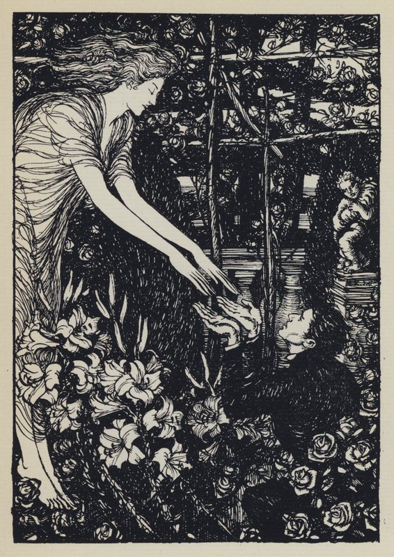 Illustration für Tennysons Maud von Edmund Joseph after Sullivan