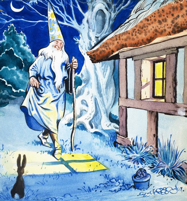 Zauberer im Mondlicht von Eduardo Teixeira Coelho