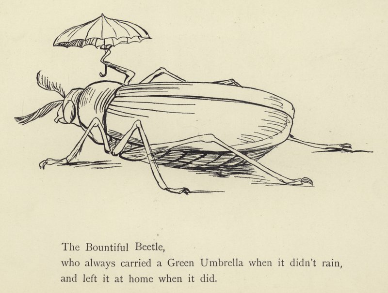 Der großzügige Käfer von Edward Lear