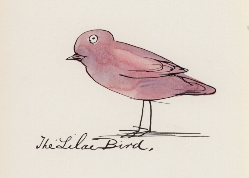 Edward Lear, Das Vogelbuch: Der Flieder Vogel von Edward (after) Lear