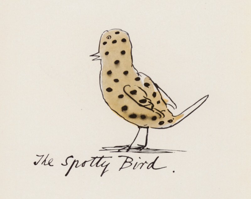 Edward Lear, Das Vogelbuch: Der Gefleckte Vogel von Edward (after) Lear
