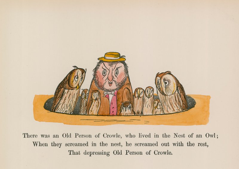 Es war eine alte Person aus Crowle, die im Nest einer Eule lebte von Edward (after) Lear