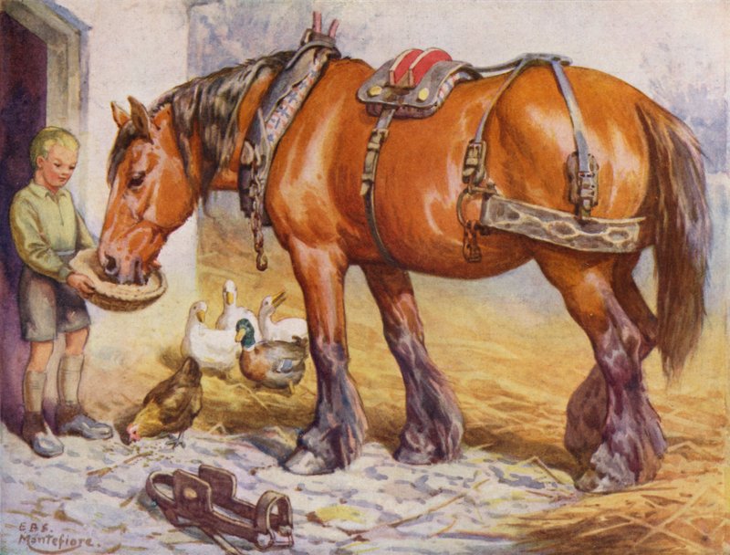 Junge füttert ein Pferd auf einem Bauernhof von Edward Brice Montefiore
