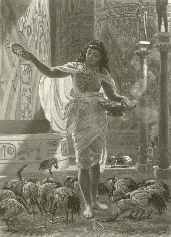 Fütterung des heiligen Ibis in den Hallen von Karnak von Edward John Poynter