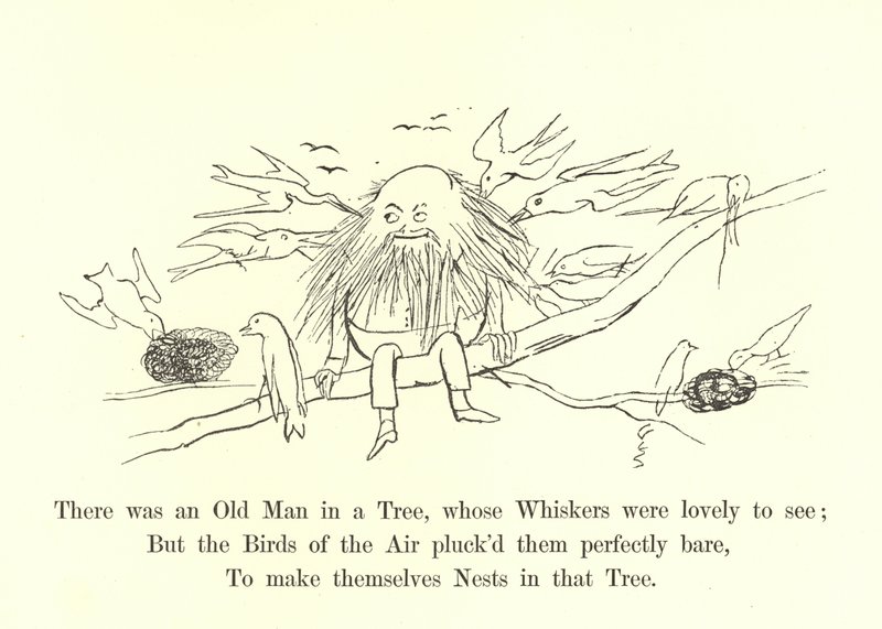Es war ein alter Mann in einem Baum, dessen Schnurrbart war schön anzusehen von Edward Lear