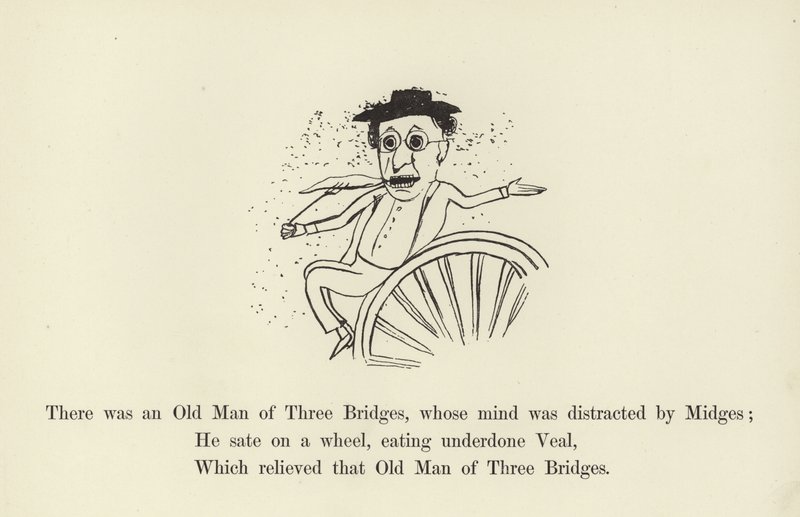 Es war ein alter Mann von Drei Brücken, dessen Geist von Mücken abgelenkt war von Edward Lear