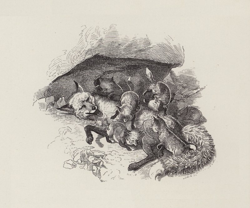 Illustration für Die Wasserkinder von Charles Kingsley von Edward Linley (after) Sambourne