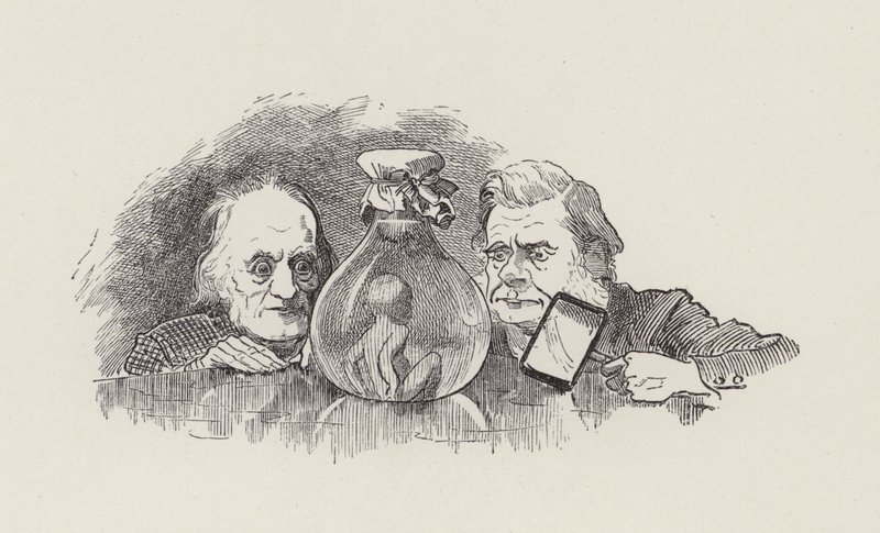Illustration für Die Wasserbabys von Charles Kingsley von Edward Linley (after) Sambourne