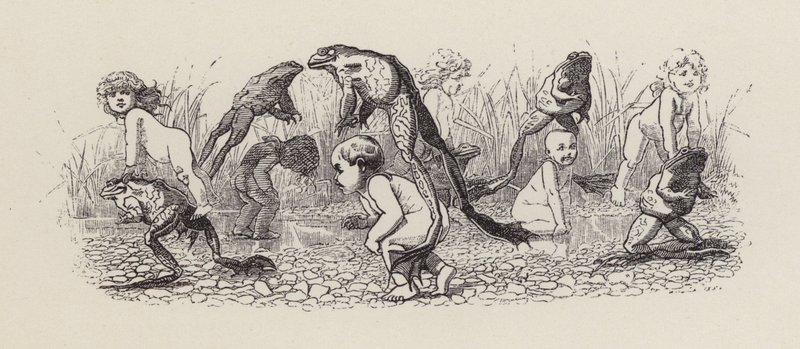 Illustration für Die Wasserkinder von Charles Kingsley von Edward Linley (after) Sambourne