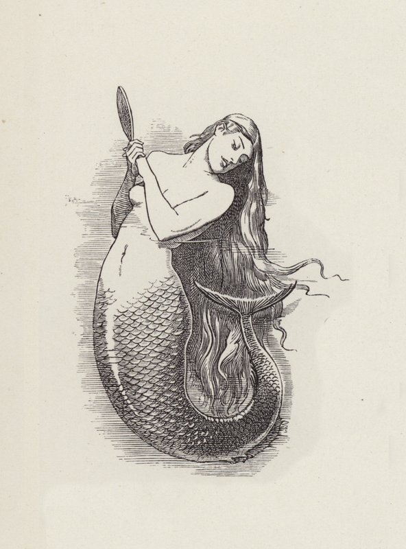 Illustration für Die Wasserkinder von Charles Kingsley von Edward Linley (after) Sambourne