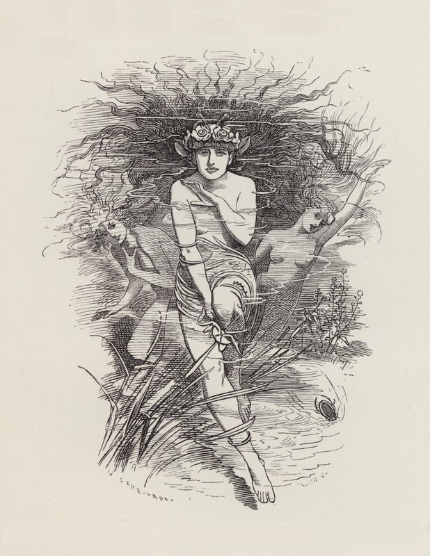 Illustration für Die Wasserbabys von Charles Kingsley von Edward Linley (after) Sambourne