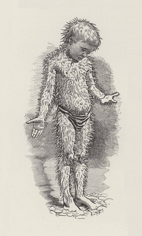 Illustration für Die Wasserkinder von Charles Kingsley von Edward Linley (after) Sambourne
