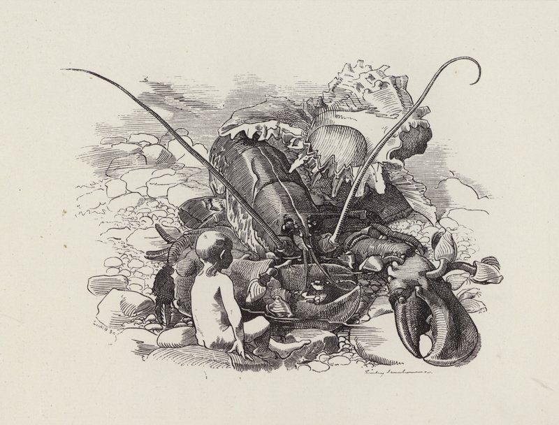 Illustration für Die Wasserkinder von Charles Kingsley von Edward Linley (after) Sambourne