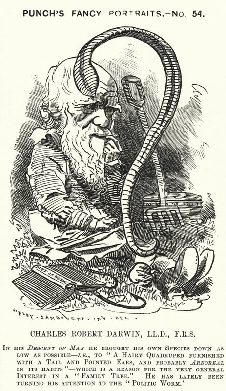 Karikatur: Charles Darwin, englischer Naturforscher und Biologe (Gravur) von Edward Linley (after) Sambourne