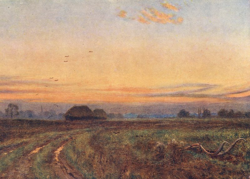 Die Sonne geht unter... Die Erde wie ein müdes Kind wendet ihr Gesicht an die Brust der Nacht von Edward Wilkins Waite