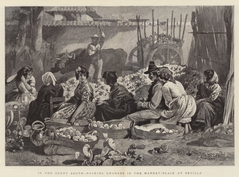 Im sonnigen Süden, Orangenverpackung auf dem Marktplatz in Sevilla von Edwin Buckman