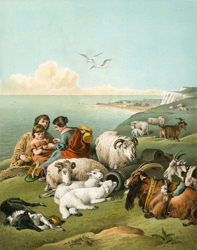 Kinder spielen mit Schafen und Ziegen auf weißen Klippen von Edwin Landseer
