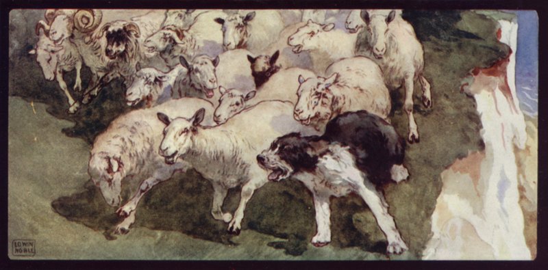 Bobtail-Schäferhund und Herde auf den Klippen von Edwin Noble