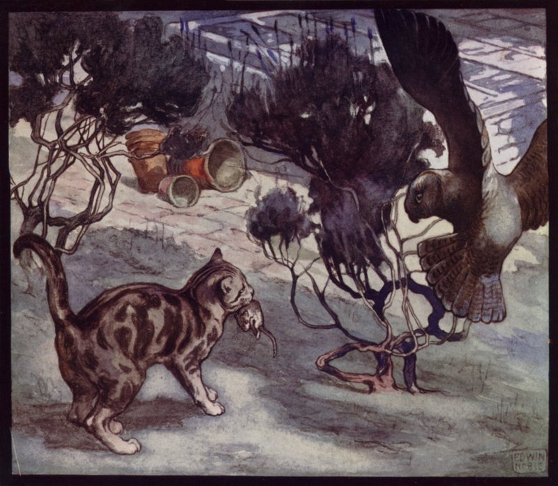 Rivalisierende Mäusejäger, Katzen und Eule von Edwin Noble