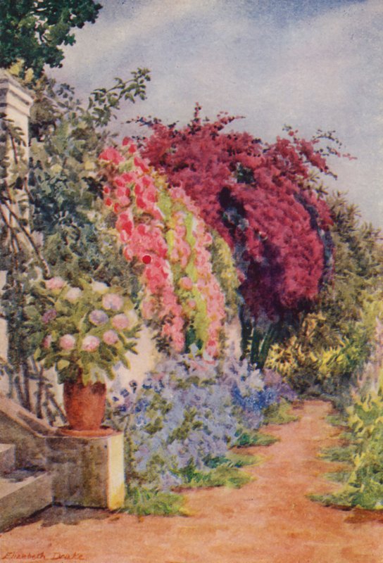 Bougainvillea und Rosen, Welgelegen, Rosebank von Elizabeth Drake