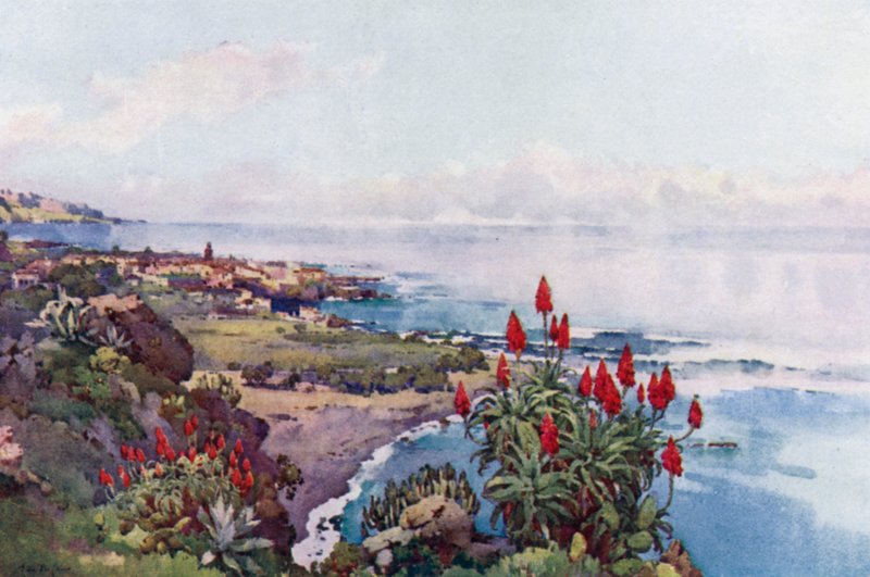 Puerto Orotava von Ella Du Cane