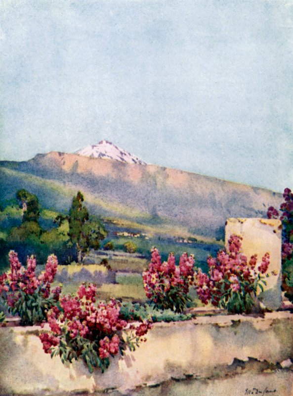 Der Gipfel, von Villa Orotava von Ella Du Cane