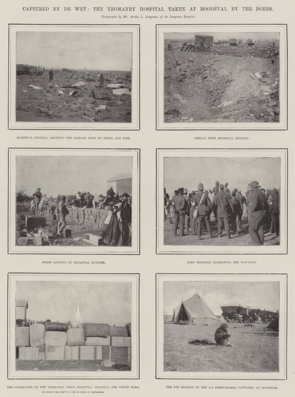 Gefangen von De Wet, das Yeomanry Hospital in Roodeval von den Buren eingenommen von English Photographer