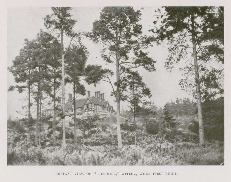 Fernansicht von The Hill, Witley, Surrey, als es erstmals gebaut wurde von English Photographer