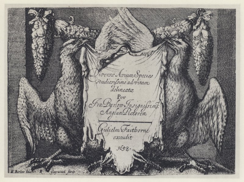 F Barlow, Verschiedene Vogelarten, G Faithorne 1658 von English Photographer