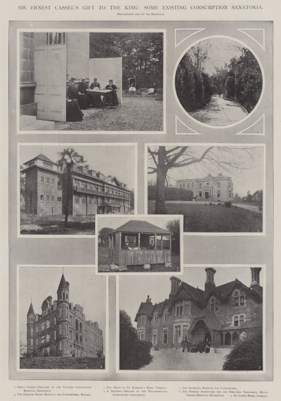 Sir Ernest Cassels Geschenk an den König, einige bestehende Tuberkulose-Sanatorien von English Photographer
