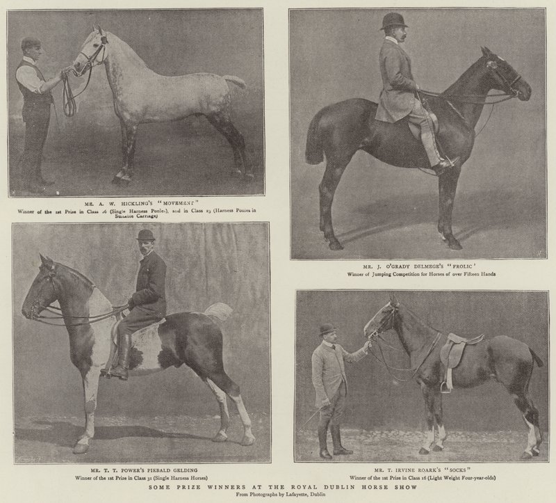 Einige Preisträger auf der Royal Dublin Horse Show von English Photographer