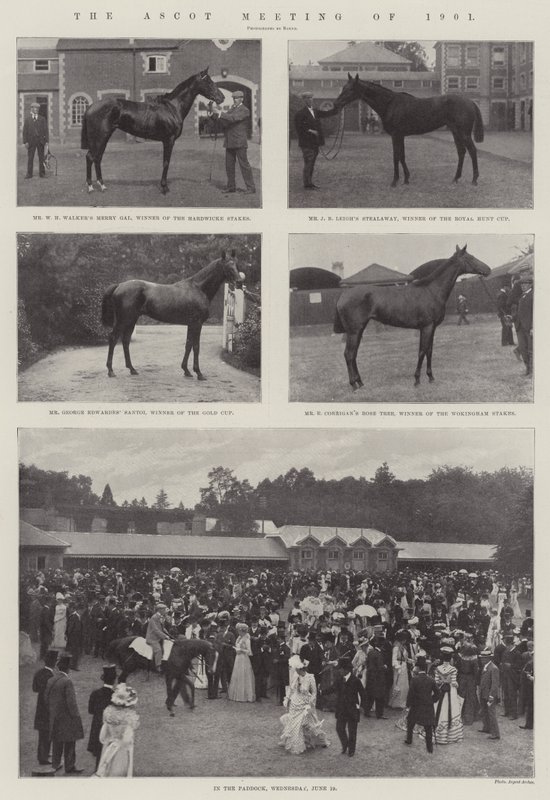 Das Ascot-Treffen von 1901 von English Photographer