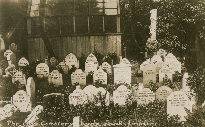 Der Hundefriedhof, Hyde Park, London von English Photographer