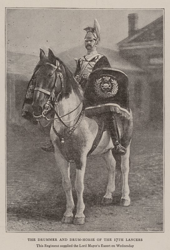 Der Trommler und das Trommelpferd der 17. Lancers von English Photographer