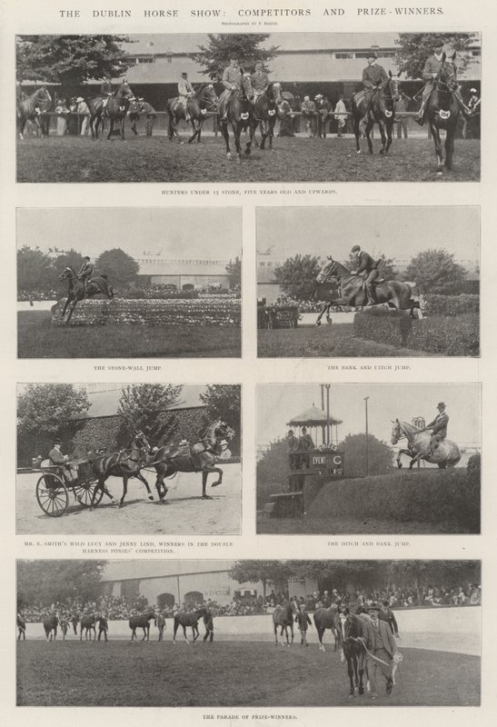 Die Dubliner Pferdeschau, Teilnehmer und Preisträger von English Photographer