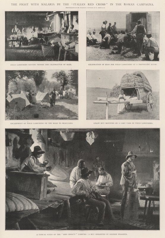Der Kampf gegen Malaria durch das italienische Rote Kreuz in der römischen Campagna von English Photographer