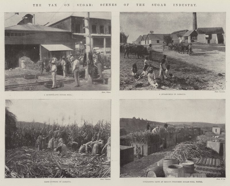 Die Steuer auf Zucker, Szenen der Zuckerindustrie von English Photographer