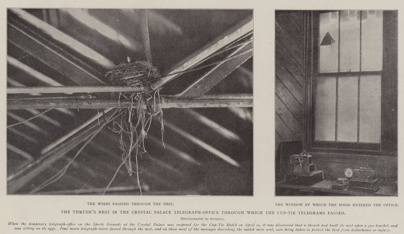 Das Drosselnest im Telegrafenbüro des Crystal Palace, durch das die Pokalspiel-Telegramme gingen von English Photographer