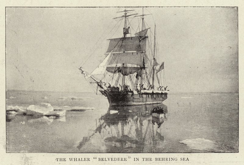 Der Walfänger Belvedere im Beringmeer von English Photographer