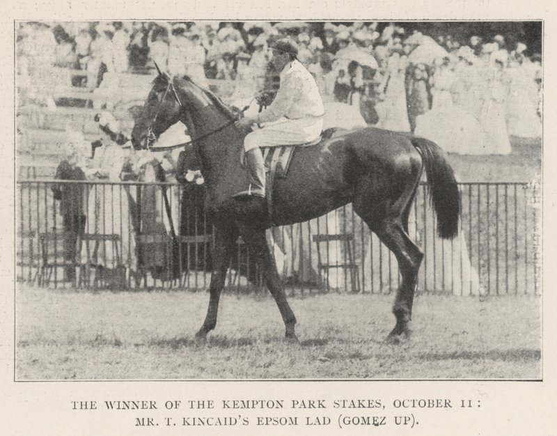 Der Gewinner der Kempton Park Stakes, 11. Oktober, Mr. T. Kincaids Epsom Lad (Gomez im Sattel) von English Photographer