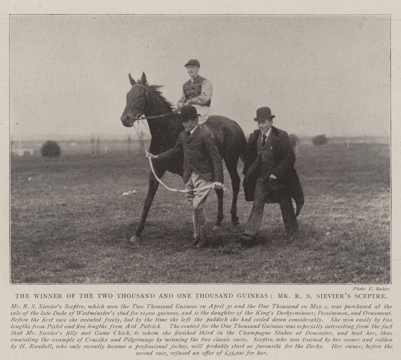 Der Gewinner der Zweitausend- und Eintausend-Guineas, Mr. R. S. Sieviers Sceptre von English Photographer