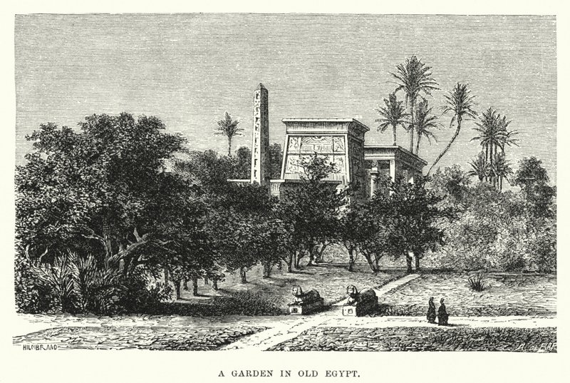 Ein Garten im alten Ägypten von English School