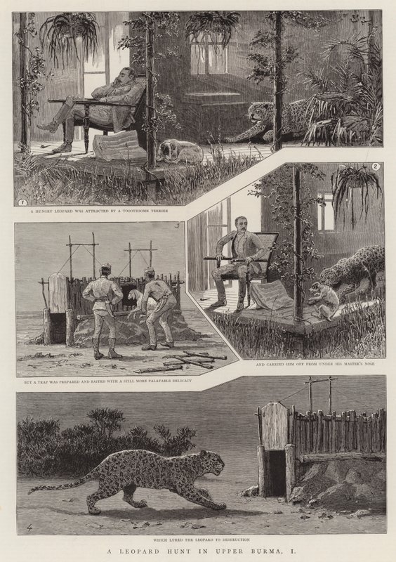 Eine Leopardenjagd in Oberburma, I von English School